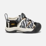 Atms Zebra Star Begeistert Kleinkinder Newport H2